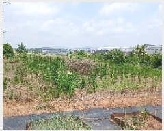  2025Ÿ��31334  ����