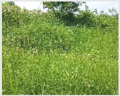  2025Ÿ��31334  ����