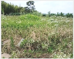  2025Ÿ��31334  ����