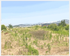  2025Ÿ��31334  ����