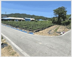  2025Ÿ��31339  �����