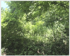  2025Ÿ��31339  �����