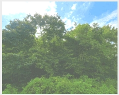  2025Ÿ��31339  �����