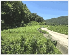  2025Ÿ��31339  �����