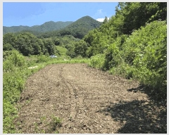  2025Ÿ��31339  �����