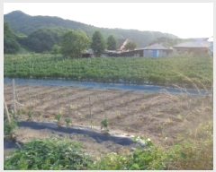  2025Ÿ��31339  �����