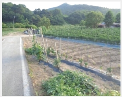  2025Ÿ��31339  �����