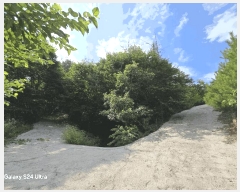  2025Ÿ31345  ӽǱ Ŵ  43      (Ӿ)