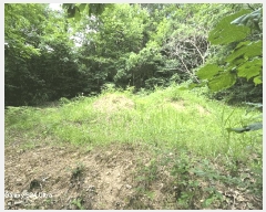  2025Ÿ31345  ӽǱ Ŵ  43      (Ӿ)