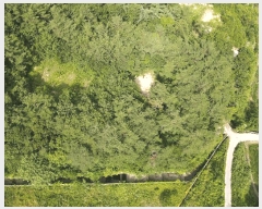  2025Ÿ31345  ӽǱ Ŵ  43      (Ӿ)