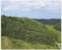  2025Ÿ31345  ӽǱ Ŵ  43      (Ӿ)