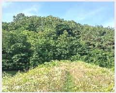  2025Ÿ31345  ӽǱ Ŵ  43      (Ӿ)