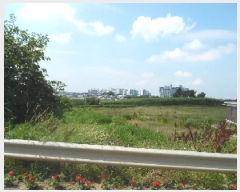  2025Ÿ��31357  ���ð��