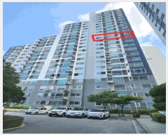  2025Ÿ��31393  ����Ʈ���