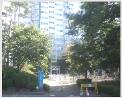  2025Ÿ��31393  ����Ʈ���