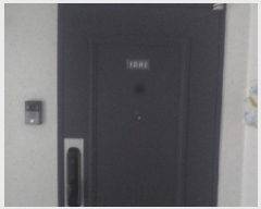  2025Ÿ��31393  ����Ʈ���