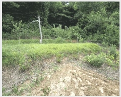  2025Ÿ��31422 ���� ���ֱ� ���̸� ���̸� ��323      ����(�Ӿ�)���