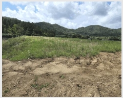  2025Ÿ��31422 ���� ���ֱ� ���̸� ���̸� ��323      ����(�Ӿ�)���