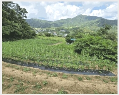  2025Ÿ��31422 ���� ���ֱ� ���̸� ���̸� ��323      ����(�Ӿ�)���