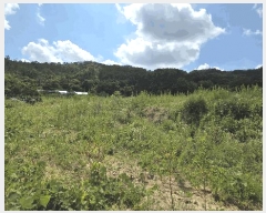  2025Ÿ��31422 ���� ���ֱ� ���̸� ���̸� ��323      ����(�Ӿ�)���