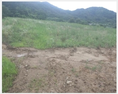  2025Ÿ��31422 ���� ���ֱ� ���̸� ���̸� ��323      ����(�Ӿ�)���