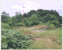  2025Ÿ��31426 ���� ���ֱ� ���̸� ���⸮ 733-4      ����(�Ӿ�)���