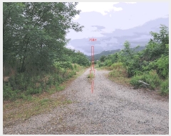  2025Ÿ��31426 ���� ���ֱ� ���̸� ���⸮ 733-4      ����(�Ӿ�)���