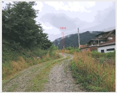  2025Ÿ��31426 ���� ���ֱ� ���̸� ���⸮ 733-4      ����(�Ӿ�)���