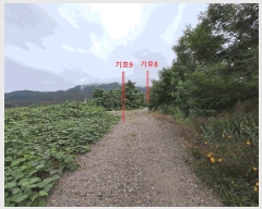  2025Ÿ��31426 ���� ���ֱ� ���̸� ���⸮ 733-4      ����(�Ӿ�)���