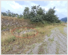  2025Ÿ��31426 ���� ���ֱ� ���̸� ���⸮ 733-4      ����(�Ӿ�)���