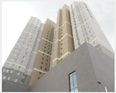  2025Ÿ��31452  ����Ʈ���