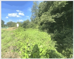  2025Ÿ��31541 ���� �ӽǱ� ������ ���ϸ� 458-3      ����(��)���