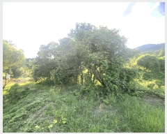  2025Ÿ��31541 ���� �ӽǱ� ������ ���ϸ� 458-3      ����(��)���