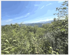  2025Ÿ��31541 ���� �ӽǱ� ������ ���ϸ� 458-3      ����(��)���