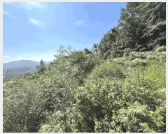  2025Ÿ��31541 ���� �ӽǱ� ������ ���ϸ� 458-3      ����(��)���