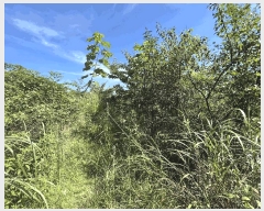  2025Ÿ��31541 ���� �ӽǱ� ������ ���ϸ� 458-3      ����(��)���