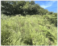  2025Ÿ��31541 ���� �ӽǱ� ������ ���ϸ� 458-3      ����(��)���