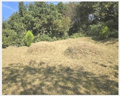  2025Ÿ��31673  ����