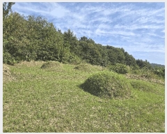  2025Ÿ��31673  ����