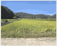  2025Ÿ��31673  ����