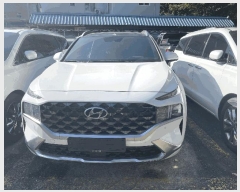  2025Ÿ��31826  �������