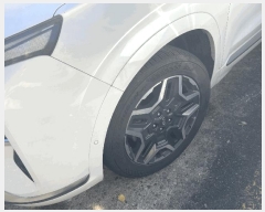  2025Ÿ��31826  �������