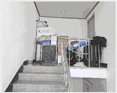  2025Ÿ528  ֽ  ĵ2 1571-11      ٰð