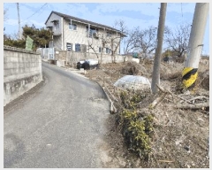  2025Ÿ544  ֱ  ʸ 1081      ()