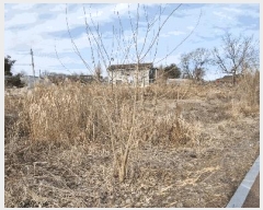  2025Ÿ544  ֱ  ʸ 1081      ()