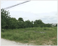  2025Ÿ597  ֽ ϻ걸 ȭ1 522 103 181809ȣ    Ʈ