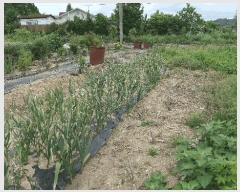  2025Ÿ597  ֽ ϻ걸 ȭ1 522 103 181809ȣ    Ʈ