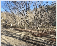  2025Ÿ��610 ���� ������ ���� 222-1       ����(��1)���