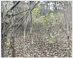  2025Ÿ��610 ���� ������ ���� 222-1       ����(��1)���