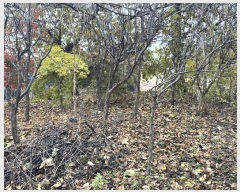  2025Ÿ��610 ���� ������ ���� 222-1       ����(��1)���